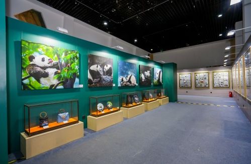 藝術聯結友誼，雙寶共慶甲子——慶祝中法建交60周年大熊貓金絲猴雙寶文化藝術展在京啟幕